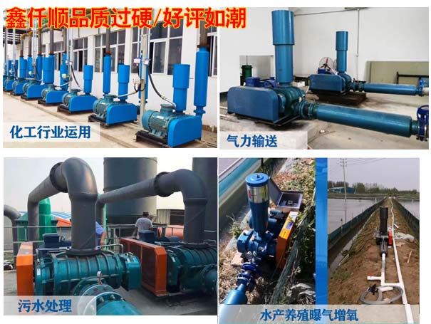 羅茨鼓風(fēng)機(jī)在糧食輸送方面應(yīng)用廣泛 羅茨鼓風(fēng)機(jī)在糧食輸送方面應(yīng)用廣泛