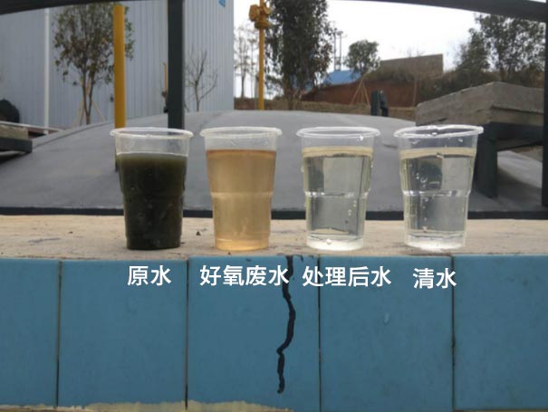 污水曝氣羅茨鼓風(fēng)機應(yīng)用案例 污水曝氣羅茨鼓風(fēng)機應(yīng)用案例